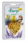fiory-hearty-45