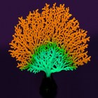 Gloxy Флуоресцентная декорация Коралл веерный оранжевый GL-268308