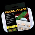 Hagen EXO TERRA Контейнер Incubation Box для инкубации яиц