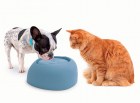 IMAC Поилка-фонтан для кошек и собак PET FOUNTAIN