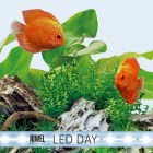 juwel_aquarium_led_tubes_day21