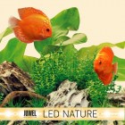 juwel_aquarium_led_tubes_nature13