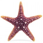 Laguna Грот Морская звезда, 160х160х30мм