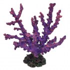 Laguna Коралл искусственный Монтипора, фиолетовый