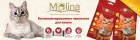 molina-m3393-2
