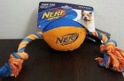 nerf-dog-22606-2