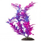 NARIBO Растение пластиковое Альтернатера фиолетовая 31см