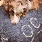 Dog Gone Smart Коврик для собак супервпитывающий Doormat L