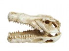 Prime Декорация пластиковая Череп крокодила мини 7,5х4,5х4,5 см