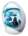 tetra-betta-ring-aquarium5