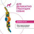 Petpark Игрушка для собак Плетенка с теннисным мячом 6 см