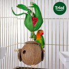 Triol Игрушка для птиц Чудо-кокос, 425/455х110мм