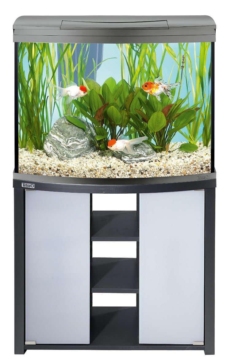 биосалон аквариумы официальный